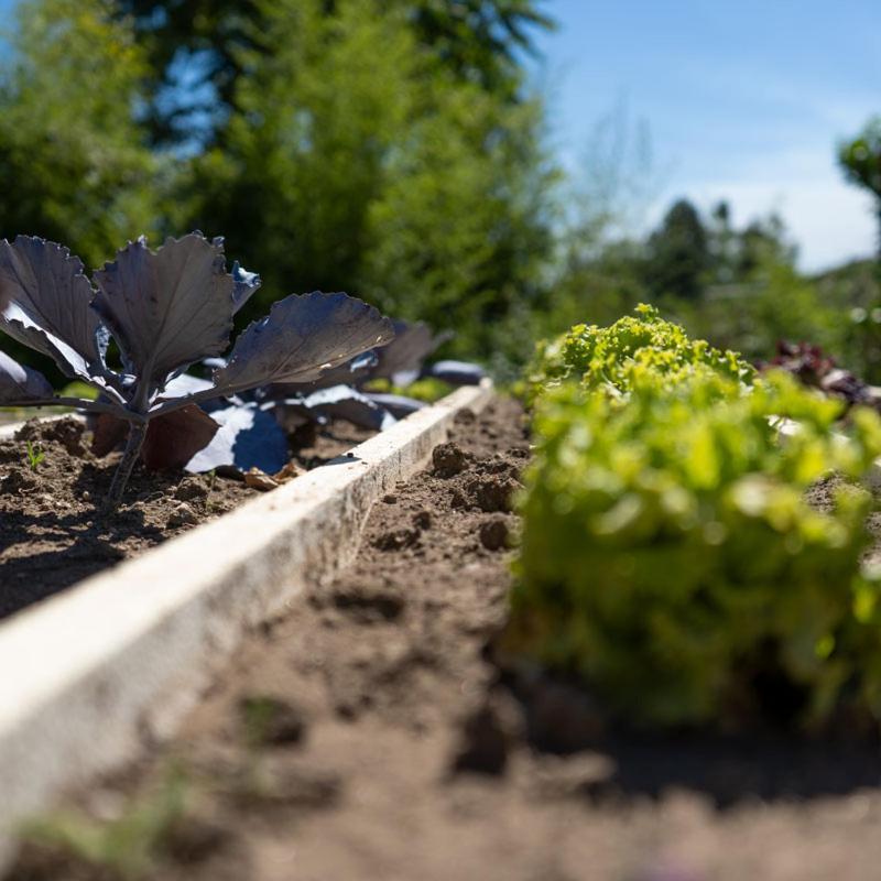 Quinta De Carcavelos Natures Home 아마란테 외부 사진
