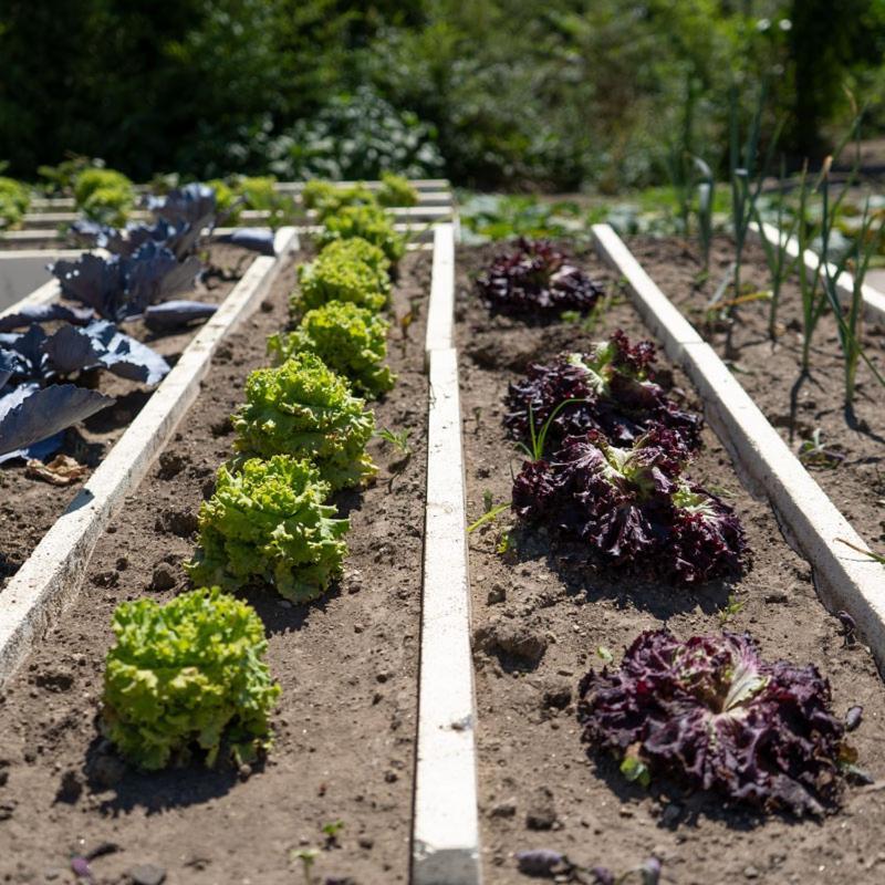 Quinta De Carcavelos Natures Home 아마란테 외부 사진